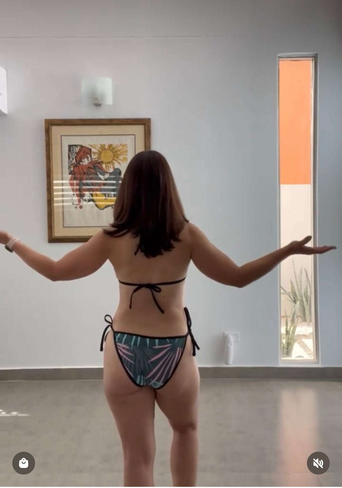Modelo Viva